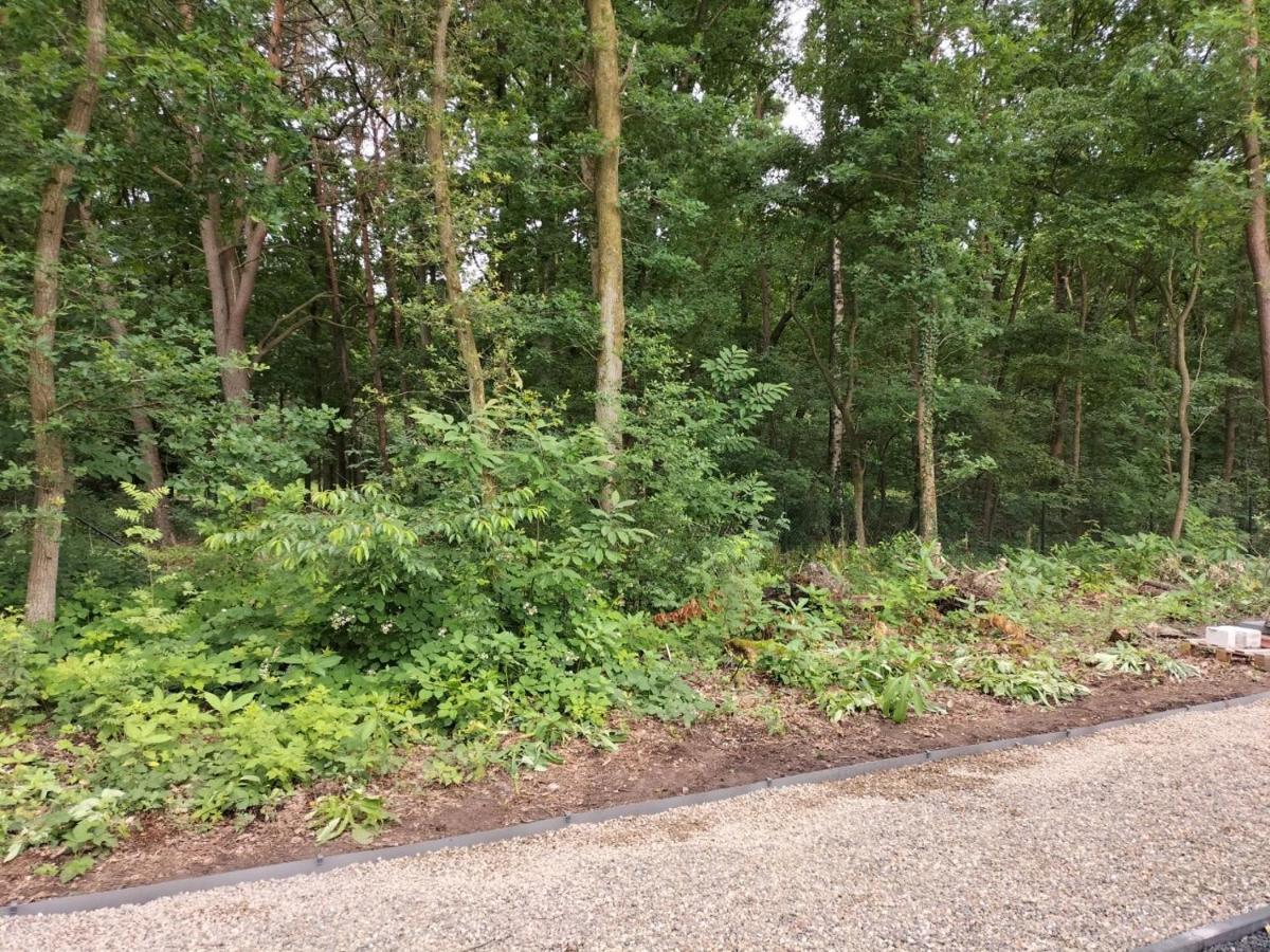 Theressa - Free Wifi En Netflix Zutendaal Exterior photo